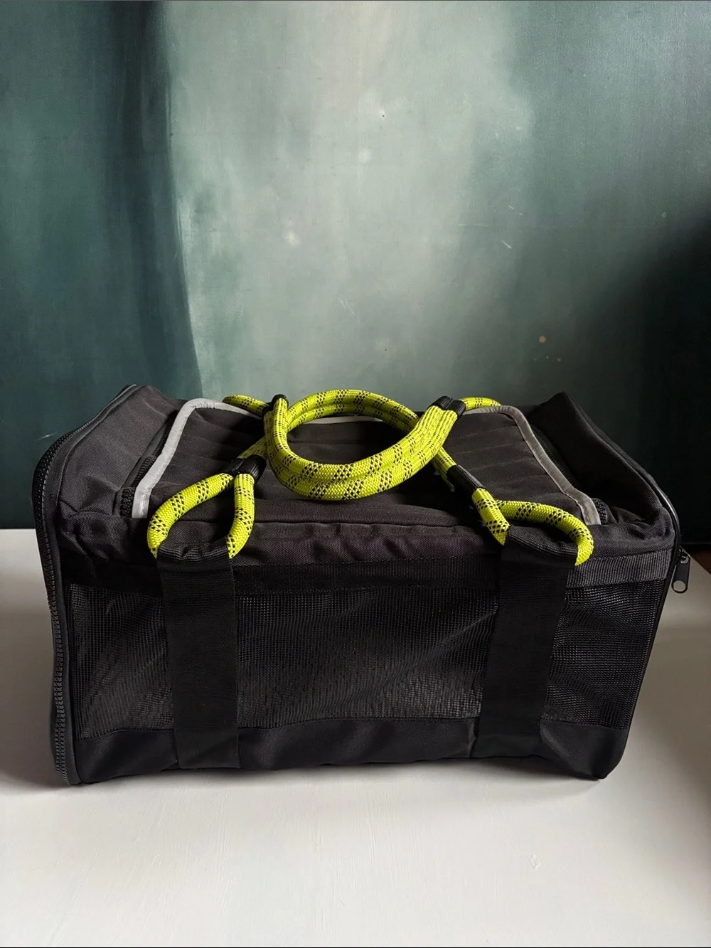 Roverlund Out Of Office Pet Carrier Large Airline Approved